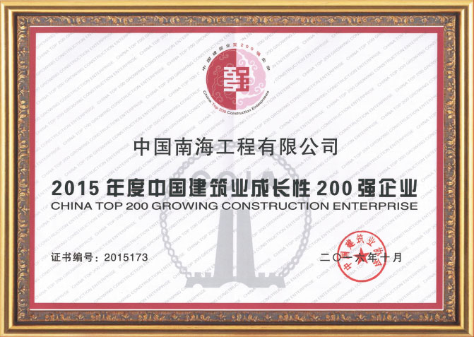 年度中国建筑业成长性200强企业